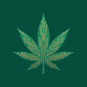 Ícone canna-br 180×180 px — Apple touch icon e ícone de app iOS